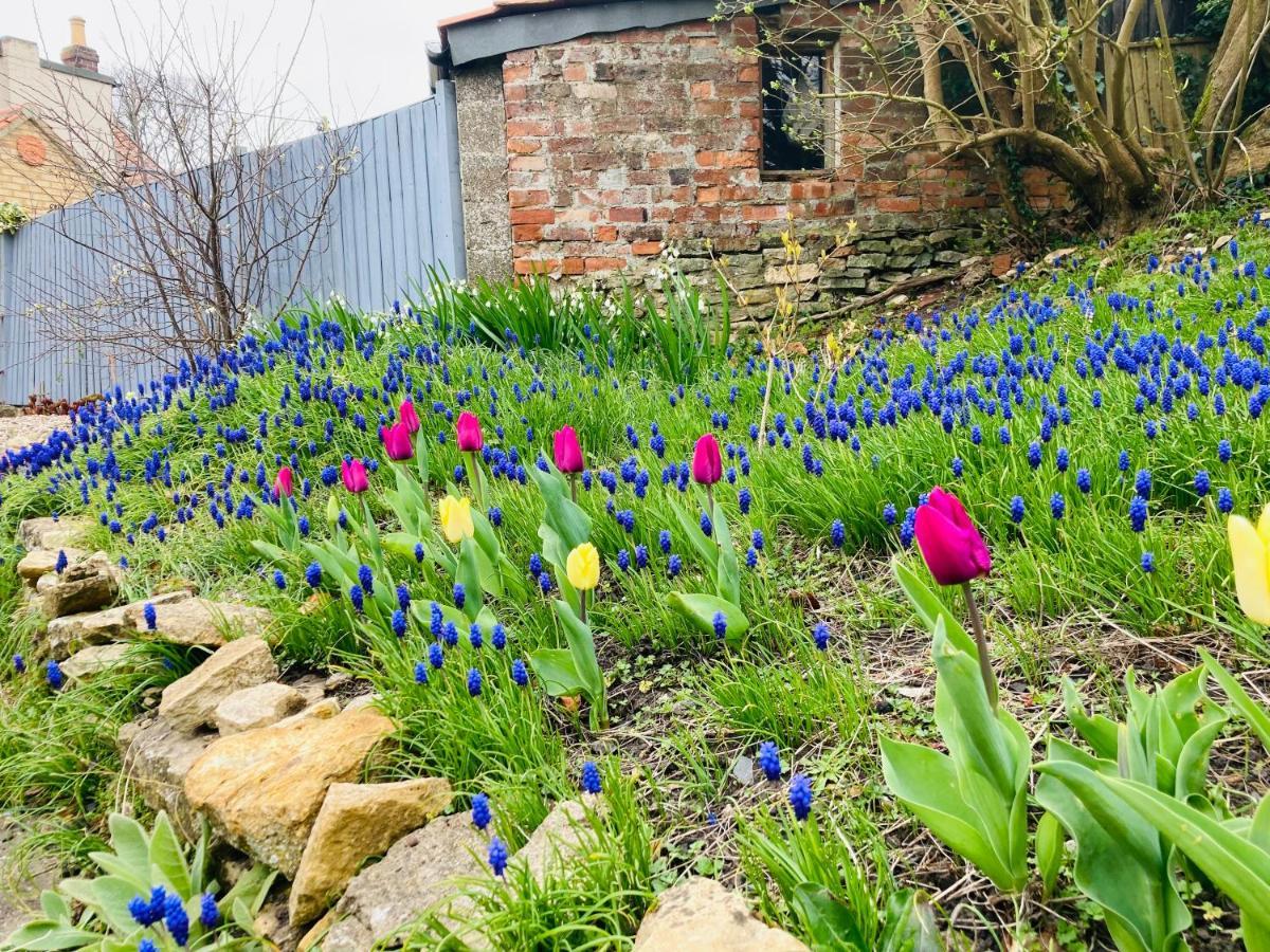 Cosy Cottage Four Miles From Lincoln City Centre エクステリア 写真