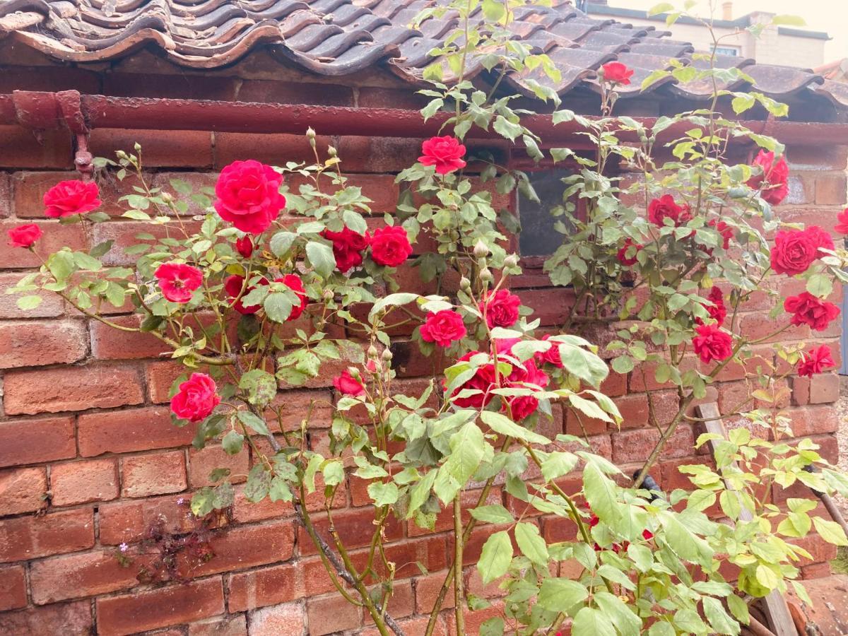 Cosy Cottage Four Miles From Lincoln City Centre エクステリア 写真